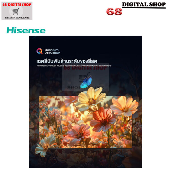 Hisense QLED 4K VIDAA Quantum Dot TV Smart TV 100 นิ้ว รุ่น 100Q6Q