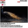5 สีดำสนิท และ สีสันเป็นธรรมชาติ