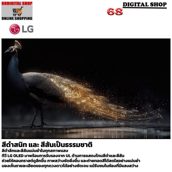 5 สีดำสนิท และ สีสันเป็นธรรมชาติ